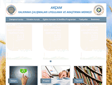 Tablet Screenshot of akcam.ankara.edu.tr